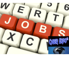 Online /Offline Data Entry jobs ad posting jobs (Daily payment)